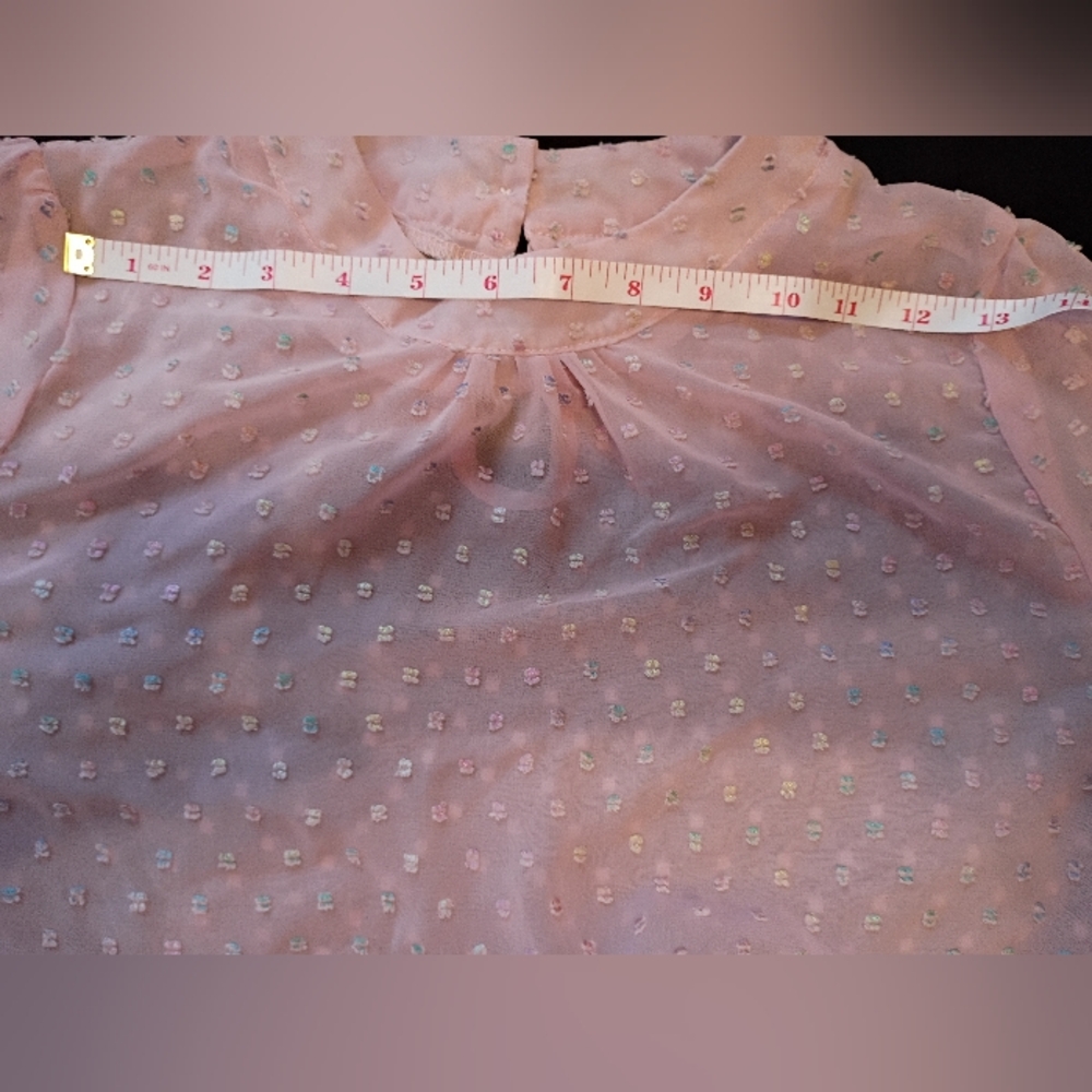 Pink Sheer Chiffon Clip Dot Mock Neck Long Sleeve Blouse - Picture 11 of 13